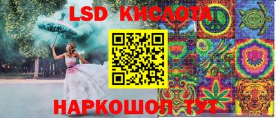 гидра Берёзовский