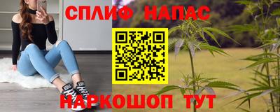 гидра Берёзовский