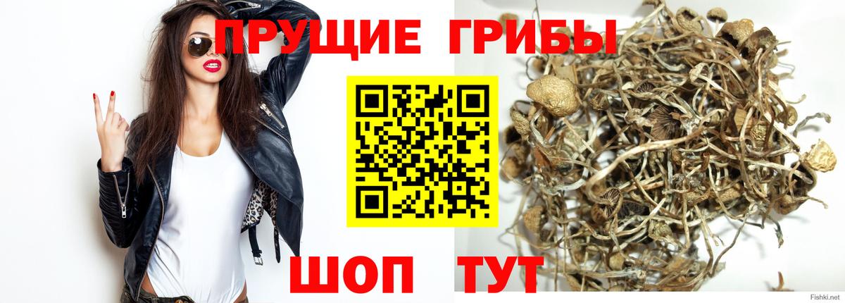 Псилоцибиновые грибы MAGIC MUSHROOMS  Псилоцибиновые грибы прущие грибы  Йошкар-Ола  Вход с VPN 